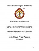 Portafolio de evidencias Comportamiento Organizacional