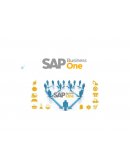 Presentación SAP