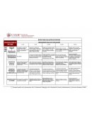 MATRIZ PARA EVALUACIÓN DE PROCESO