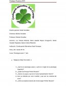 Trabajo practico el bournot