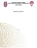 CAPITALISTMO Y SOCIALISMO INVESTIGACIÓN