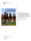 Características y uso de recursos informativos en los Programas educativos de UDGVirtual