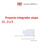 Estrategia y el impacto del uso del internet en pequeñas y microempresas/negocios