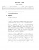 CASO DE EXPORTACIÓN EXITOSA