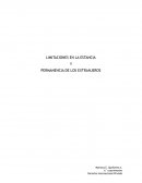 LIMITACIONES EN LA ESTANCIA Y PERMANENCIA DE LOS EXTRANJEROS