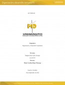 Organizacion de desarrollo comunitario