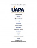 Tarea 8 Español II - Actividades de la unidad VIII