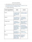 LAS CÉLULAS EUCARIOTAS