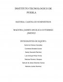 Relación entre cadena de suministros y el perfil profesional