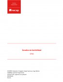 Estudios de factibilidad