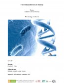 El futuro de la microbiologia