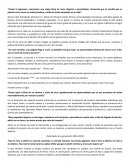 Programa de graduación