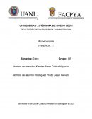 Evidencia 1 Macroeconomia