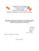 MODELO DE GESTIÓN PARA EL MEJORAMIENTO DEL DESEMPEÑO LABORAL EN EL ÁREA ADMINISTRATIVA DEL HOSPITAL “NUESTRA SEÑORA DEL CARMEN” MUNICIPIO BOLIVAR, ESTADO BARINAS