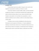 Desarrollo del cerebro primera infancia