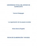 La organización de los grupos sociales