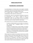 Neuroderechos y neurotecnología