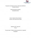 Título del ensayo: “Palabras ¡simples expresiones! con capacidad inimaginable”