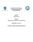 Normas de salud personal y reglamentarias