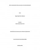 Taller: Automatización divisas cash precio de moneda