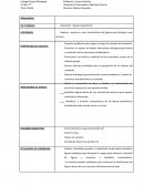 ESCRITURA DE NUMEROS