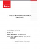 Analisis interno de la organixación