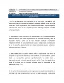 PERSPECTIVAS SOBRE LAS ORGANIZACIONES EDUCATIVAS