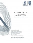 Etapas de la anestesia