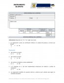 Instrumento Diagnóstico Organizacional