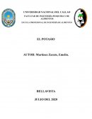 EL POTASIO