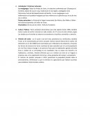 Actividades Y Prácticas Culturales