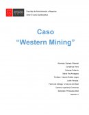 Caso “Western Mining”