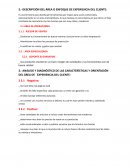 DESCRIPCIÓN DEL ÁREA O ENFOQUE DE EXPERIENCIA DEL CLIENTE