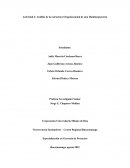 Análisis de la estructura Organizacional de una Hamburguesería