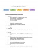 Niveles de organización - anatomía