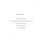ENSAYO SOBRE LITERATURA UNIVERSAL