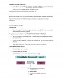 Estratègies funcionals i operatives