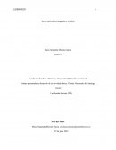 Infografía y Análisis Liderazgo