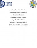 Software de aplicación Ejecutiva