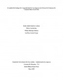 El Análisis Del Enfoque De Competitividad En Una Empresa En El Sector De Productos De Consumo Masivo En El País