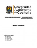 Factibilidad de Negocios “Análisis Competitivo”