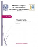 INTRODUCCION A LA ECONOMÍA