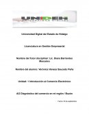 Diagnóstico del comercio en mi región