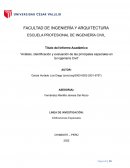 Análisis, identificación y evaluación de las principales especiales en la Ingeniería Civil