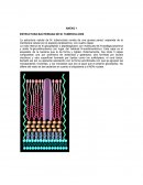 ESTRUCTURA BACTERIANA DE M. TUBERCULOSIS