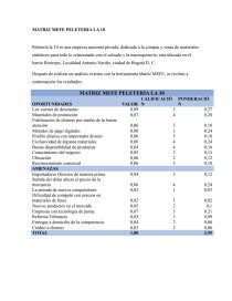 MATRIZ MEFE PELETERIA LA 10. Página 1
