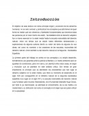 Origen y evolución de los derechos humanos