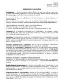 DERECHOS Y GARANTÍAS. Constitucionalismo Clásico