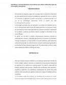 INFOGRAFIA BUSINESS INTELIGENCE