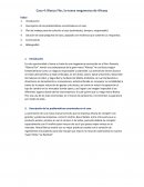 Caso 4: Blanca Flor, la nueva megamarca de Alicorp